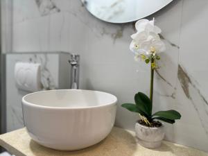 Olive Branch Studio Apartment Dobra Voda