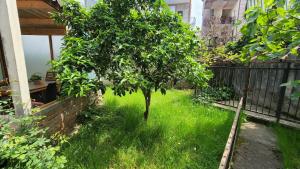 Kalpazo Tirana Vila 313