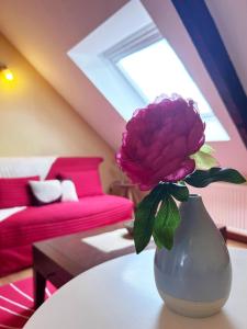 Appartements Au fil du temps : photos des chambres