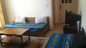 Elahmdya apartment