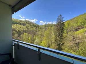 Waldblick - Bad Harzburg - Schwimmbad und Sauna