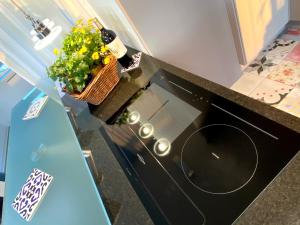 Penthouse mit Domblick - Über den Dächern Speyers