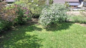 Chalets Chalet de caractere : photos des chambres