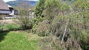 Chalets Chalet de caractere : photos des chambres