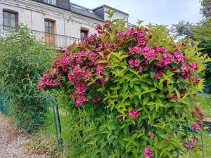 Appartements Mesnil Val Plage : Appartement 1 Chambre
