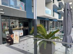 COZY studiou Mamaia Nord by Alezzi