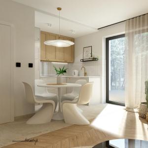 Modern Gdańsk Wyspa Sobieszewska