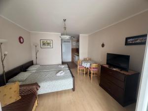 Apartman Maslinjak