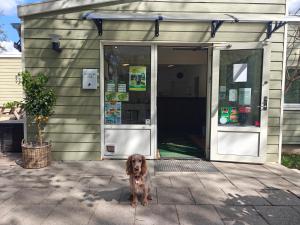 Frederiksværk Camping & Hostel