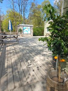 Frederiksværk Camping & Hostel