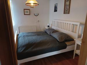 Apartmán Pod Lipou