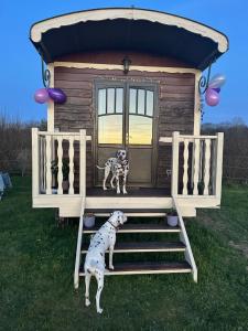 Campings Les Roulottes des Amis de Wonky : Mobile Home