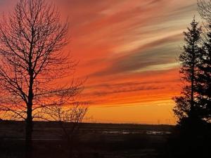 Birtingaholt Retreat