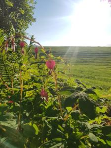 Birtingaholt Retreat