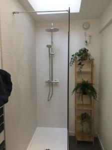 Appartements Appartement cosy - Clermont-Fd - 2 J Girod : Appartement 1 Chambre