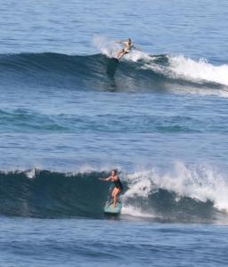 Melody Surf - Ekas Lombok