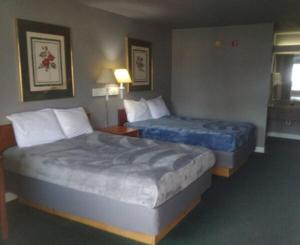 2 Double Beds Hotel Studio 115