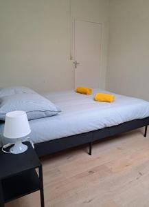 Maisons de vacances L-Escapade en Loire : photos des chambres
