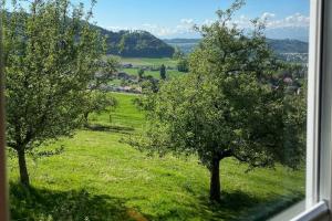 Apartment in Bolligen