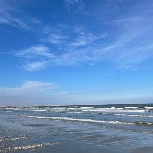 Onix Aparthotel Studio Tomis Villa 605