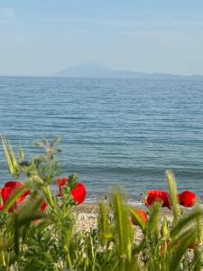 Kariani Sea View Apartment