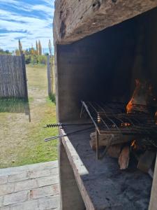 Ciruelos del Sur - San Rafael Mendoza