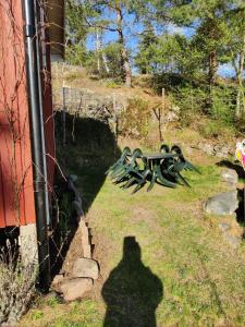 Sköna stugan