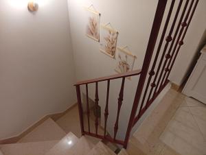 CV MiRa house