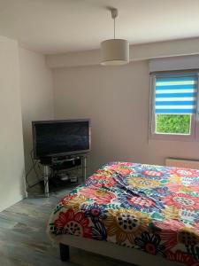 Maisons de vacances Loft-style house, close to downtown and shops : photos des chambres