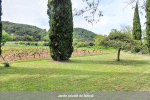 Maisons de vacances Maison de charme a Nyons au milieu des vignes : photos des chambres