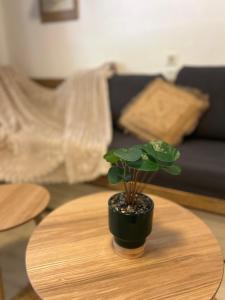 Domaine Valescure St Raphael Piscine Golf