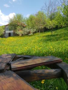 Casa La Casiru 17