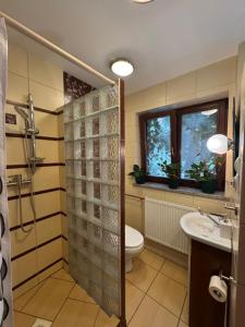 Pokój Cień Paproci