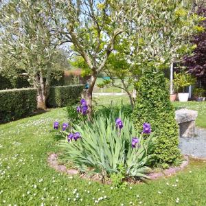 B&B / Chambres d'hotes L-Essentiel : photos des chambres