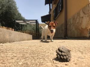 La dimora di Annette