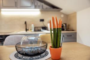 Old Town Comfort Apartment Sava