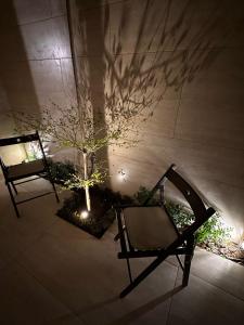 استديو سكاي لايت وتراس خارجي