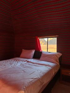 Desert Star Camp