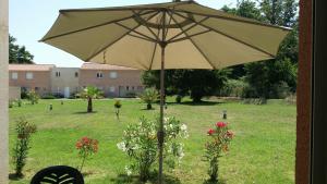 Maisons de vacances Villa Fior 50 : photos des chambres