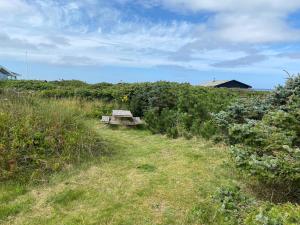 Large bright summerhouse with sea view and close to the ocean