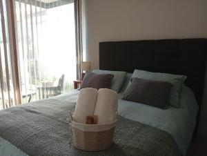 Departamento Edificio Aqua Pucón