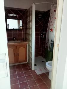 Appartements Nice Studio with terrace and free parking : photos des chambres