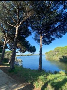 Studio toit terrasse