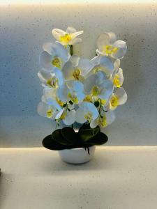 Deluxe Aparthotel Central