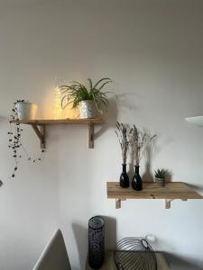 Le Studio du Bosquet