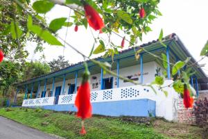 Santa Irene de Palomino - Sevilla Valle del Cauca