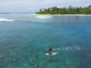 Fishing Tours Maldives