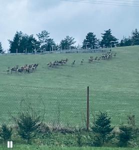 U nás v Hliníku - apartmán pri Liptovskej Mare