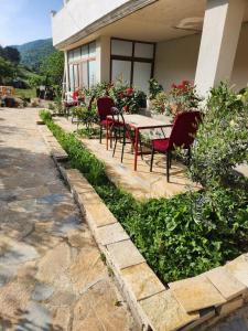 Vila Agron Caushllari