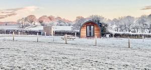 Mynd View Pods Cedar